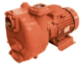 Pompe de relevage eaux usées en fonte SALMSON - TYPE S - 60 m - 500 m³/h - 200 mm