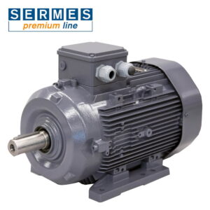 Moteur électrique SERMES - SPL 200L6C - 400 V - 18,5 kW - 1000 tr/min